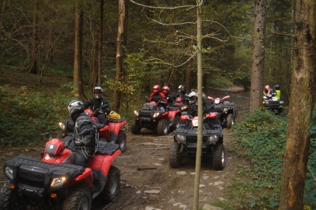  En el bosque 